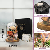 Eternal Flower With Butterfly: Big Flowers Big Love-Elegant Flower In Glass Dome-Thanksgiving, Christmas, Mom Gifts For Her-Flowers For Delivery Prime-Floral Arrangements (Orange)