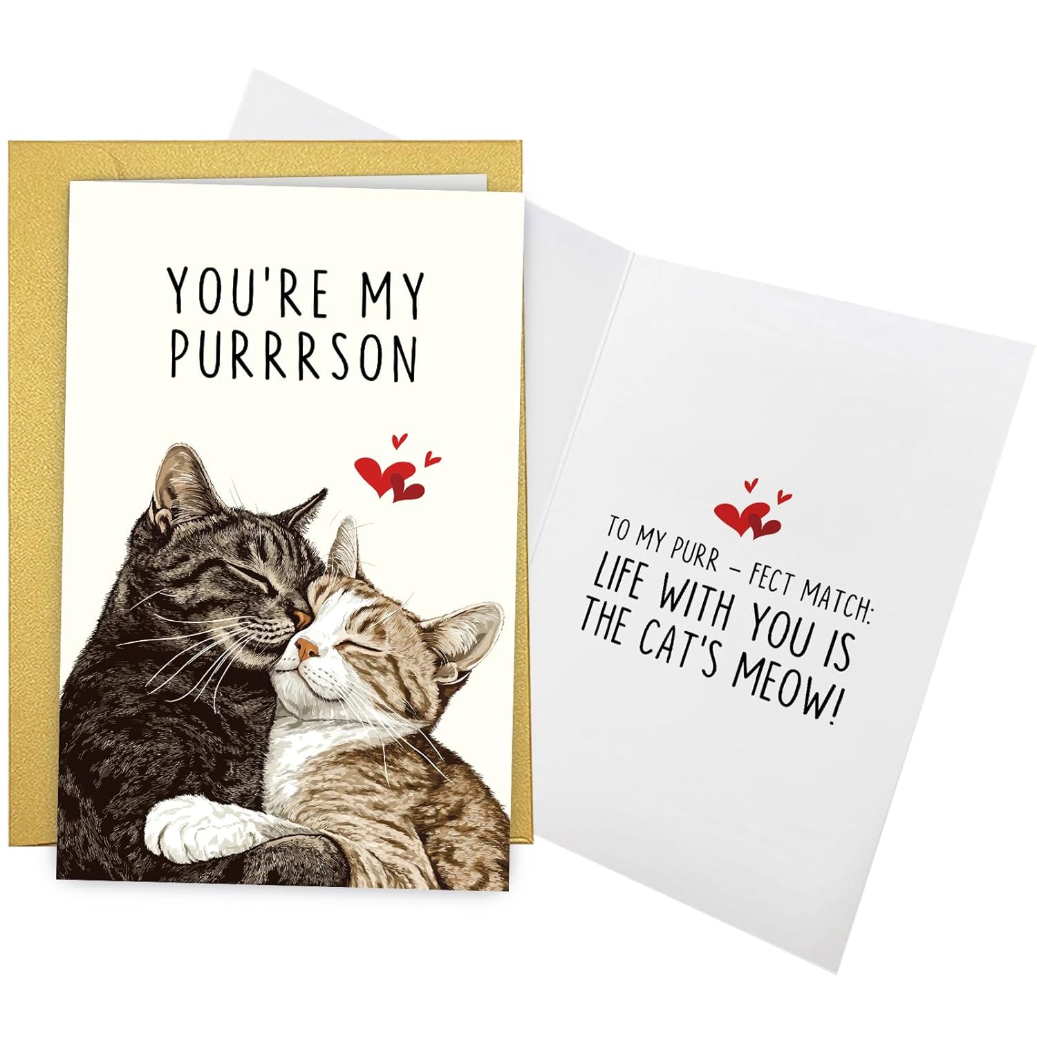 Cute Cat Valentines Day Card, Funny Valentines Day Card For Cat Lover, Lovely Anniversary Cards For Man Woman, You'Re My Purrrson