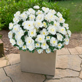 12 Pcs Spring Flowers Artificial White Flowers Outdoor 13.78" Uv Resistant Silk Spring Floral Arrangements Azalea Faux Flowers For Outdoor Planters Porch Patio Balcony Garden Vase Table Decor