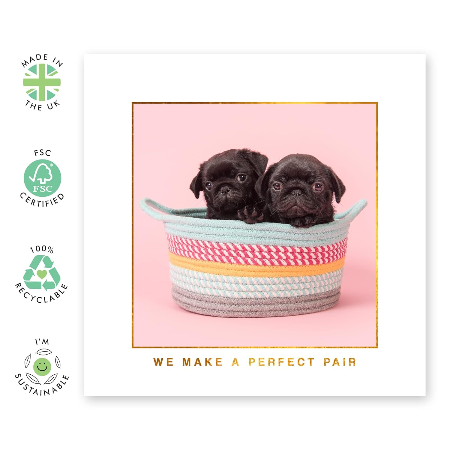 Anniversary Card For Couple - Two Pugs In A Basket - Valentines Day Cards For Girlfriend Boyfriend - Dog Pun Humor - Gifts For Wife Husband Partner - Comes With Fun Stickers