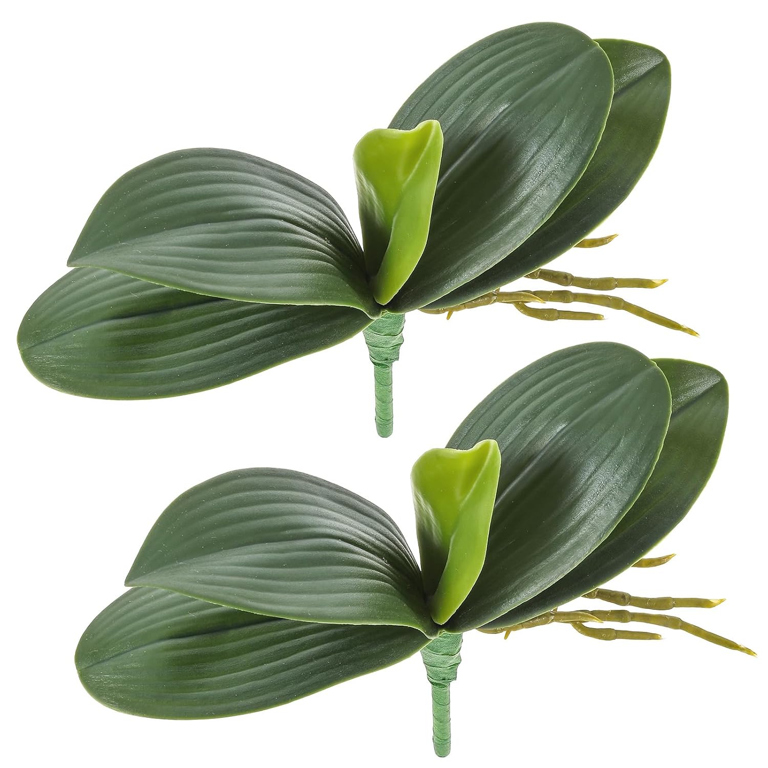 2 Pcs Orchid Leaves Artificial Real Touch Faux Phalaenopsis Stems Leaf 8 Inches Green Leaf Plants Fake Cymbidium Flower Foliage Green Real Touch Latex Orchid Leaves For Flowers Arrangements Pot Decor