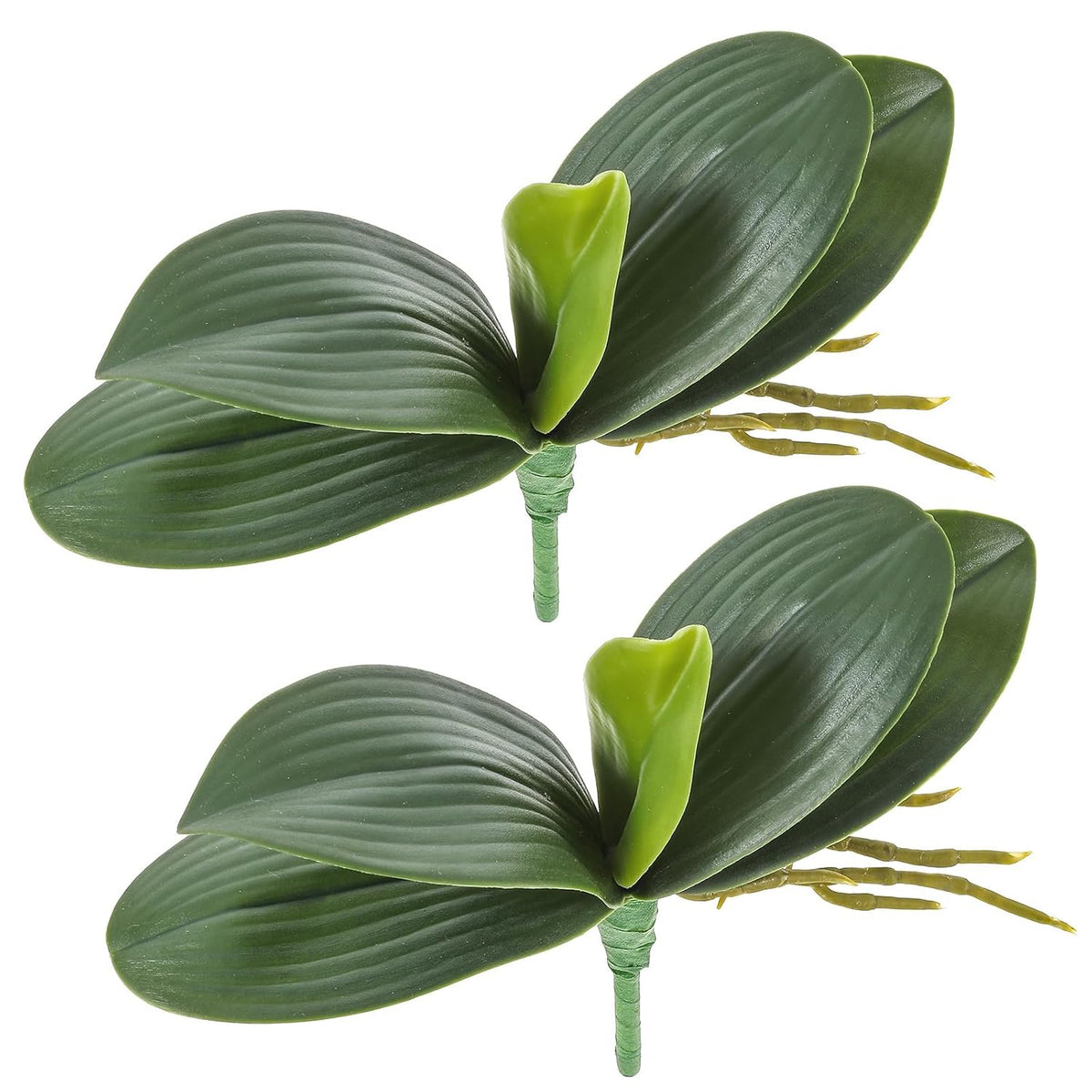 2 Pcs Orchid Leaves Artificial Real Touch Faux Phalaenopsis Stems Leaf 8 Inches Green Leaf Plants Fake Cymbidium Flower Foliage Green Real Touch Latex Orchid Leaves For Flowers Arrangements Pot Decor