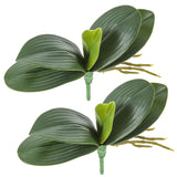2 Pcs Orchid Leaves Artificial Real Touch Faux Phalaenopsis Stems Leaf 8 Inches Green Leaf Plants Fake Cymbidium Flower Foliage Green Real Touch Latex Orchid Leaves For Flowers Arrangements Pot Decor