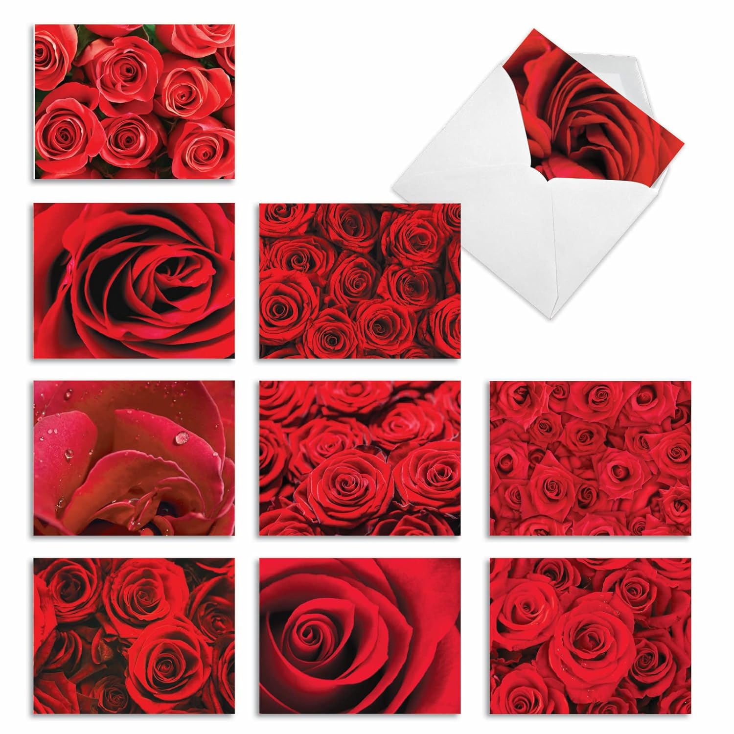- 10 Blank Note Cards With Flowers (4 X 5.12 Inch) - Floral Notecards, All Occasion Boxed Assortment - Roses Are Red M3088