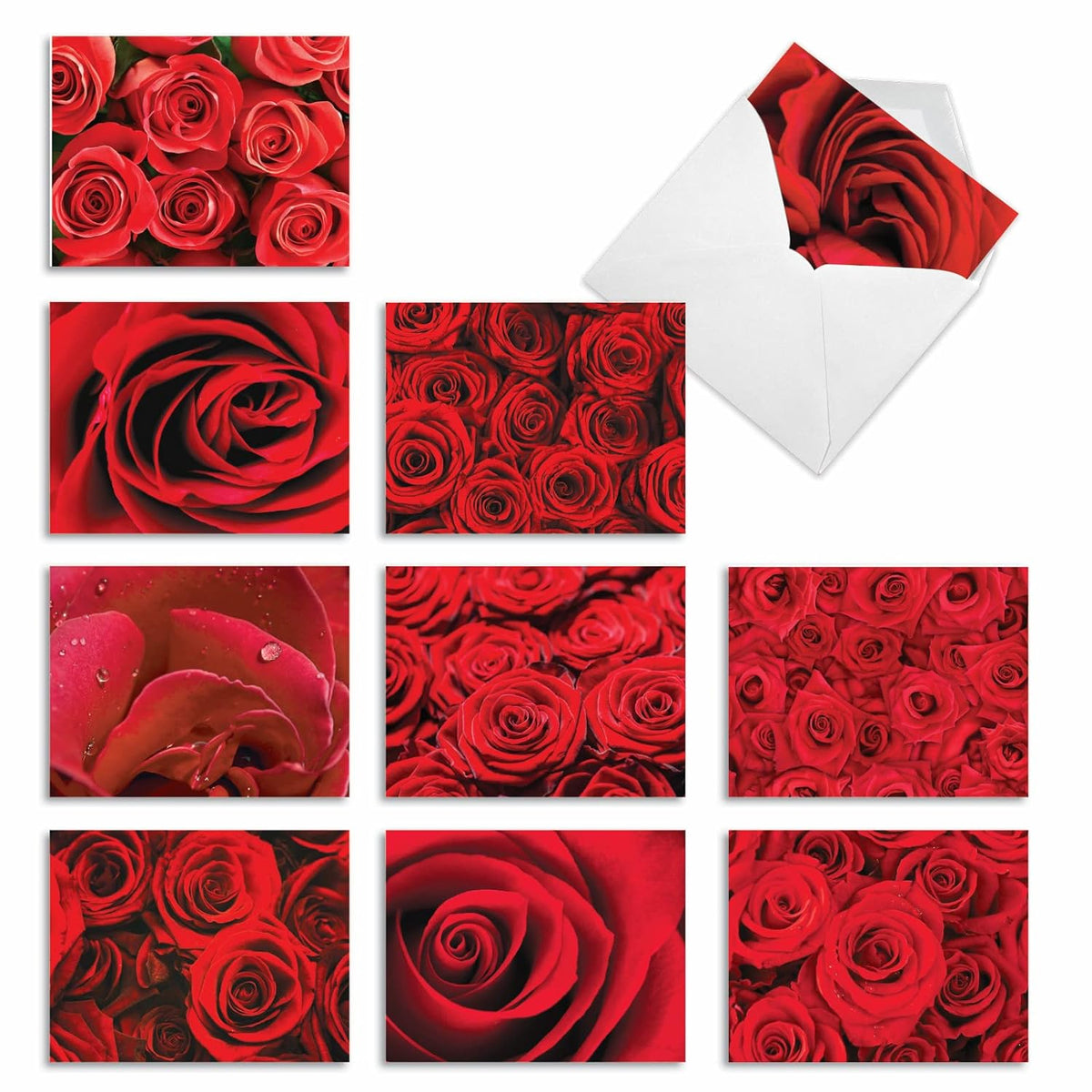 - 10 Blank Note Cards With Flowers (4 X 5.12 Inch) - Floral Notecards, All Occasion Boxed Assortment - Roses Are Red M3088