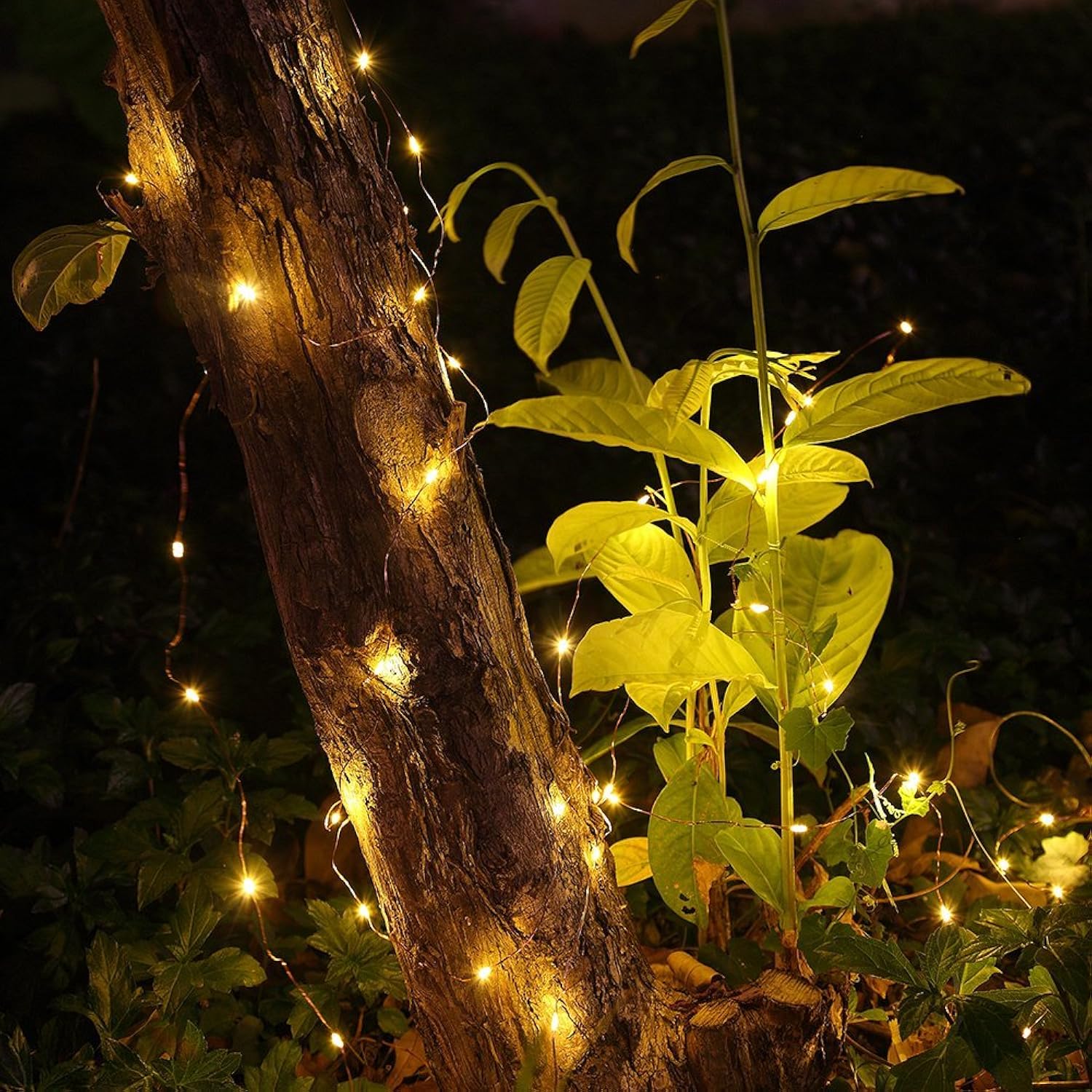 Warm White Fairy Lights Battery Operated With Remote, 2Pack 33Ft 100 Led Outdoor String Lights Control Timer, Waterproof