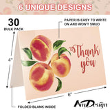 Peach Thank You Cards Bulk 30 Pack Thank You Blank Notes With Matching Seal Stickers White Envelopes Pink Peach Greeting Cards For Baby Shower Wedding Birthday Bridal Party Invitation