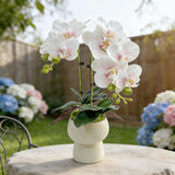 Realistic Artificial Phalaenopsis Orchid, 2 Stems Faux Orchid With 2 Rooted Leaves, No Maintenance Silk Flower With Bendable Stem For Home Office Decoration (Pale Pink)