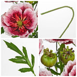 5Pcs Red Poppy Flowers Artificial Bouquet 32.2" Silk Fake Poppy Flowers Arrangement Real Touch Faux Poppies Flower Long Stem For Diy Wedding Party Table Centerpiece Table Home Decor