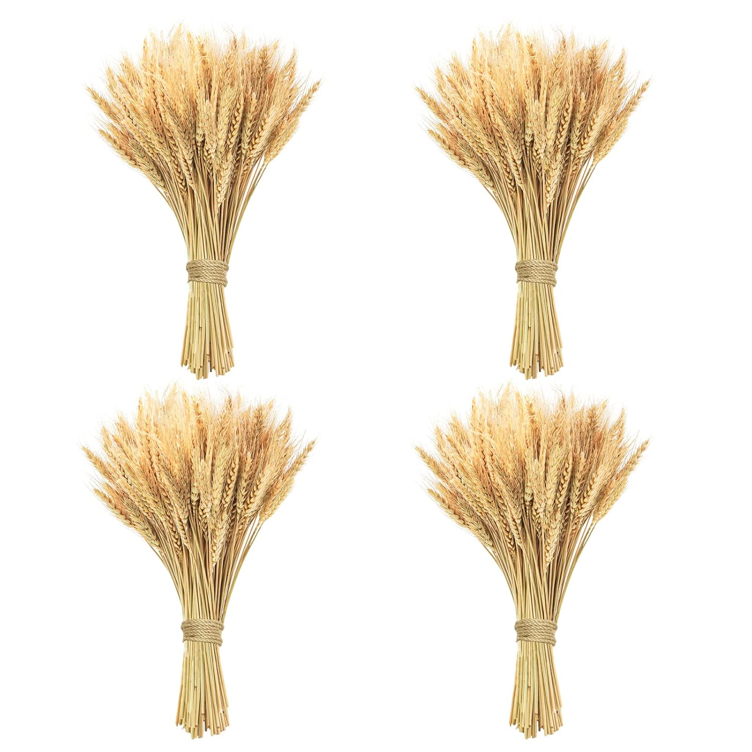 400 Stems Natural Dried Wheat Stalks, 18 Inches Dried Wheat Grass Bundle Wheat Sheaves Wreath For Flowers Arrangement Wedding Table Centerpieces Home Kitchen Office Diy Party Décor