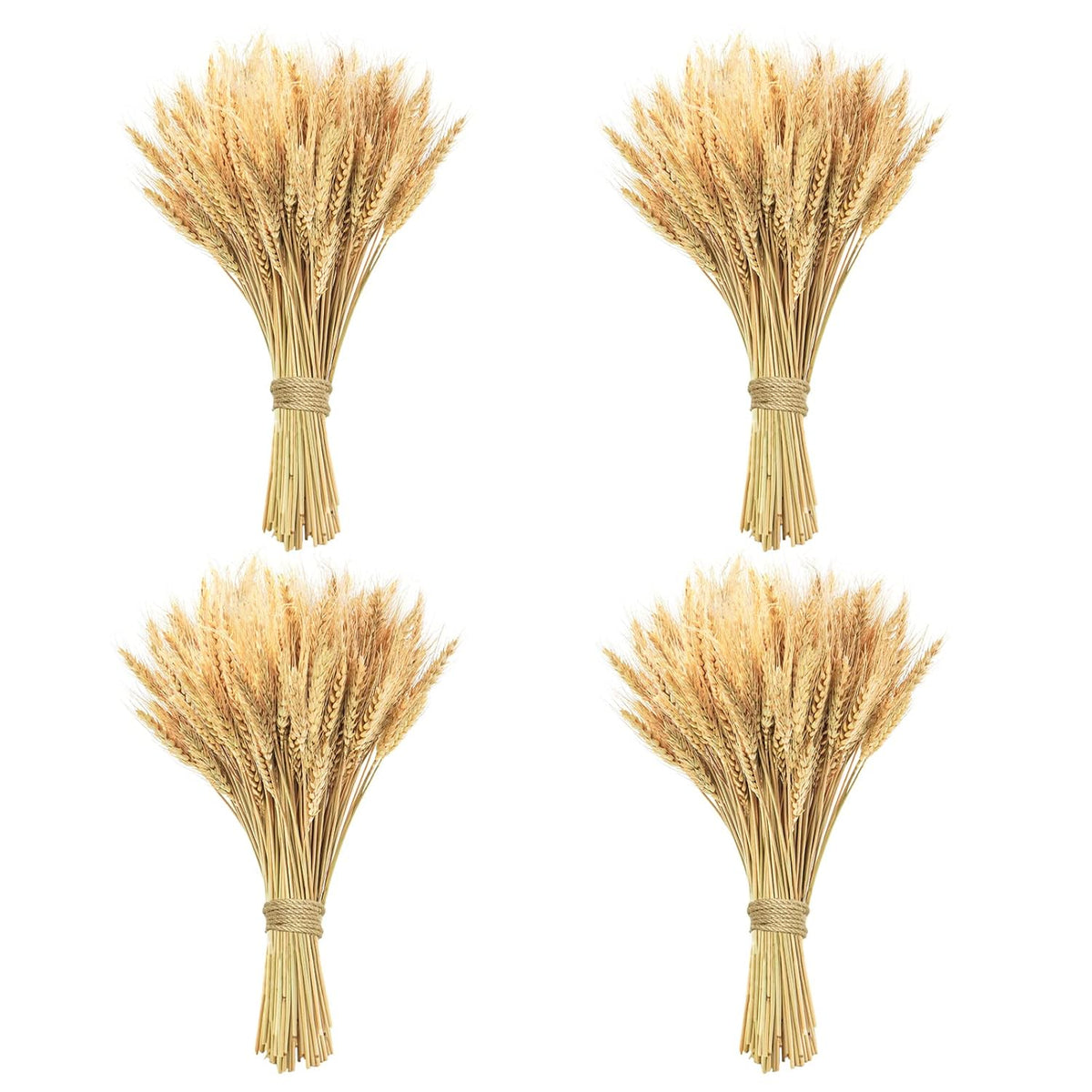 400 Stems Natural Dried Wheat Stalks, 18 Inches Dried Wheat Grass Bundle Wheat Sheaves Wreath For Flowers Arrangement Wedding Table Centerpieces Home Kitchen Office Diy Party Décor