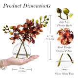Artificial Orichid Artificial Flowers In Clear Glass Water?Filled Vase – Silk Fake Plants Table Centerpiece For Home, Shelf, Office & Dining Decor, Maintenance?Free(Light Orange)