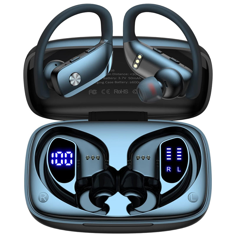 Wireless Earbuds with Earhooks, 48hrs Playback, LED Display, Mic, Black