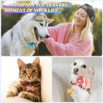 Pet Tag Resin Molds Silicone, Cat Dog Tag Molds For Epoxy Resin & Uv Resina, Bone Shape Resina Keychain Molds With 10Pcs Key Ring & 10Pcs Jump Ring, Diy Keychain Pendant Charm Crafts