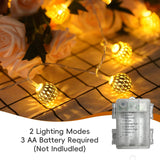 Globe String Lights,Cmyk 30 Led Fairy String Lights Battery Operated For Indoor,Party,Patio,Wedding,Bedroom,Christmas Tr