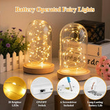 12 Pack Warm White Fairy Lights Battery Operated 7FT 20 LED Silver Wire String Lights Waterproof Firefly Lights for Mason Jars Wedding Party Bedroom DIY Decor