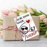 36 Pcs Funny Valentine’S Day Cards For Classroom Kids Tween, 6 7 Slang Valentines Card, Stick Figure Teen Slang Valentines Cards With Envelopes & Stickers