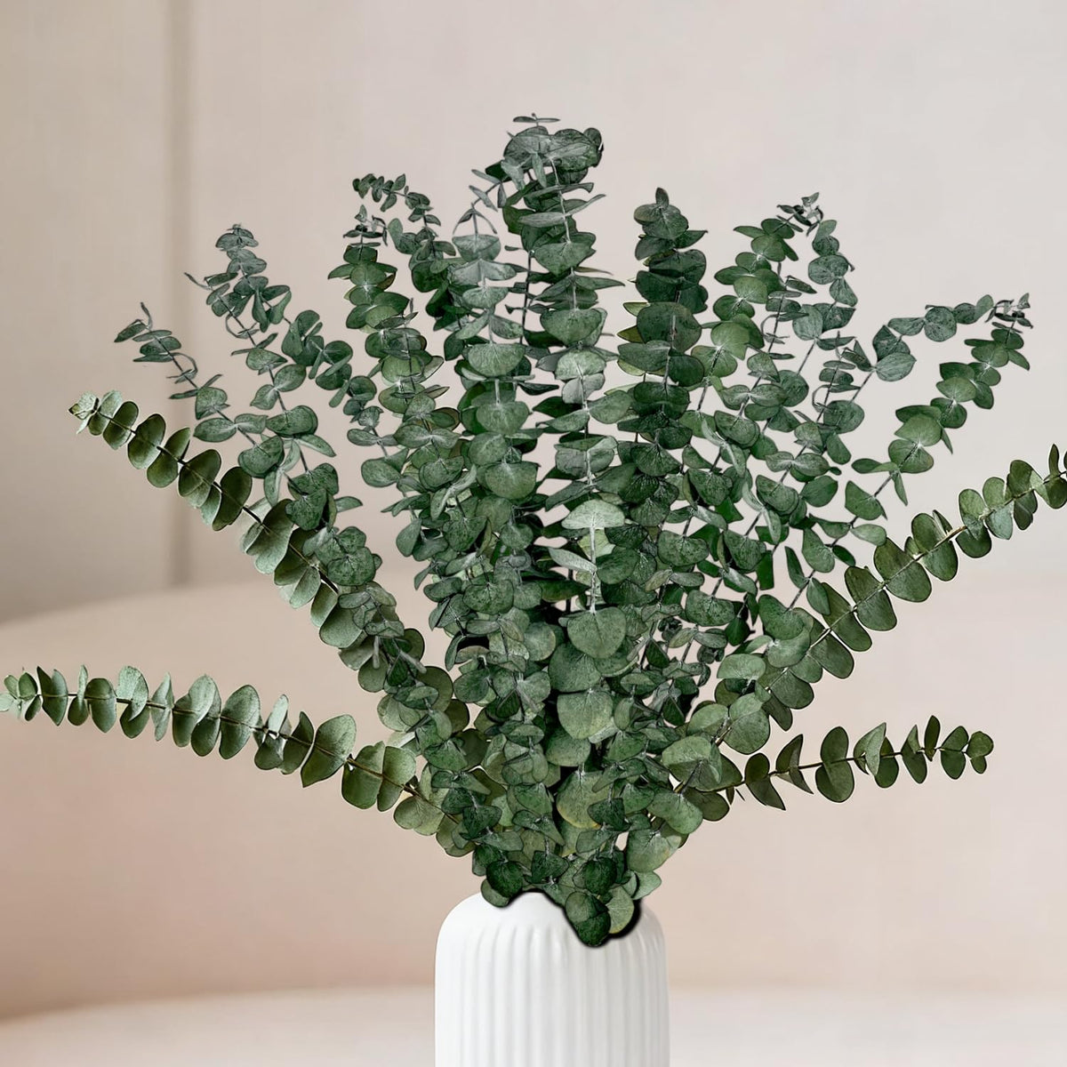 18 Pcs Real Dried Eucalyptus Stems,17" Natural Eucalyptus Branches For Shower To Release Fragrance, Vase Filler, Bathroom Decor, Dried Flower Arrangement