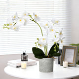 2 Pcs Fake Orchids Flowers In Pot Faux Orchids Artificial Floral Phalaenopsis With Vase For Home Wedding Table Centerpiece Bathroom Indoor Room Office Desk Decoration