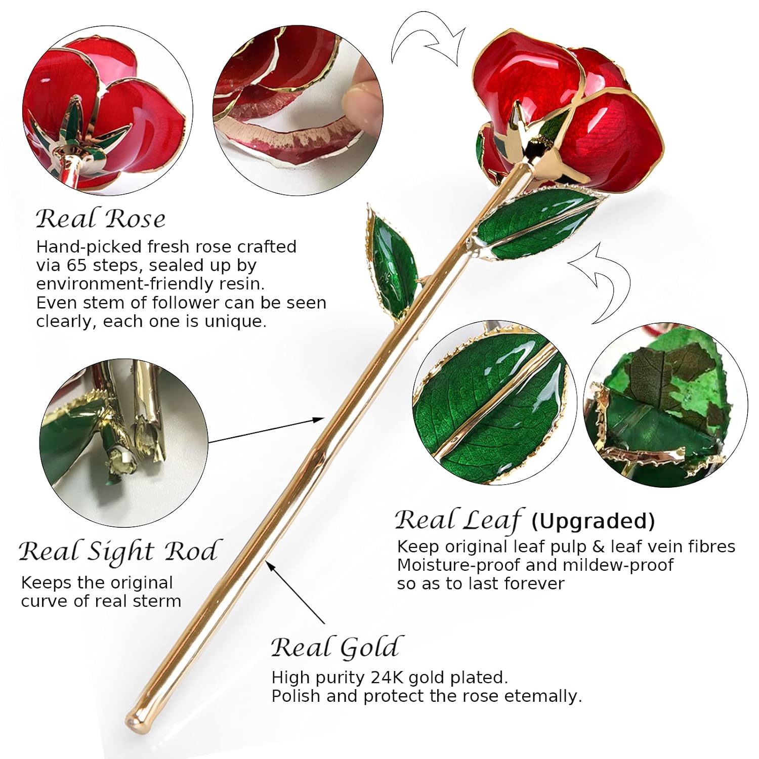 Gold Dipped Infinity Rose - Eternal Resin-Preserved Rose | Forever Flower Decor For Birthdays, Mother’S Day, Anniversaries | Unique Gift For Women, Mom, Wife (Red)