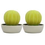 CANDLE CHOICE Battery Operated Flameless LED Candles with Timer Handmade Real Wax Succulent Cactus Flickering Electric Night Lights Fake Cacti Plants Home Decorations Table Centerpieces 2 Pack Yellow