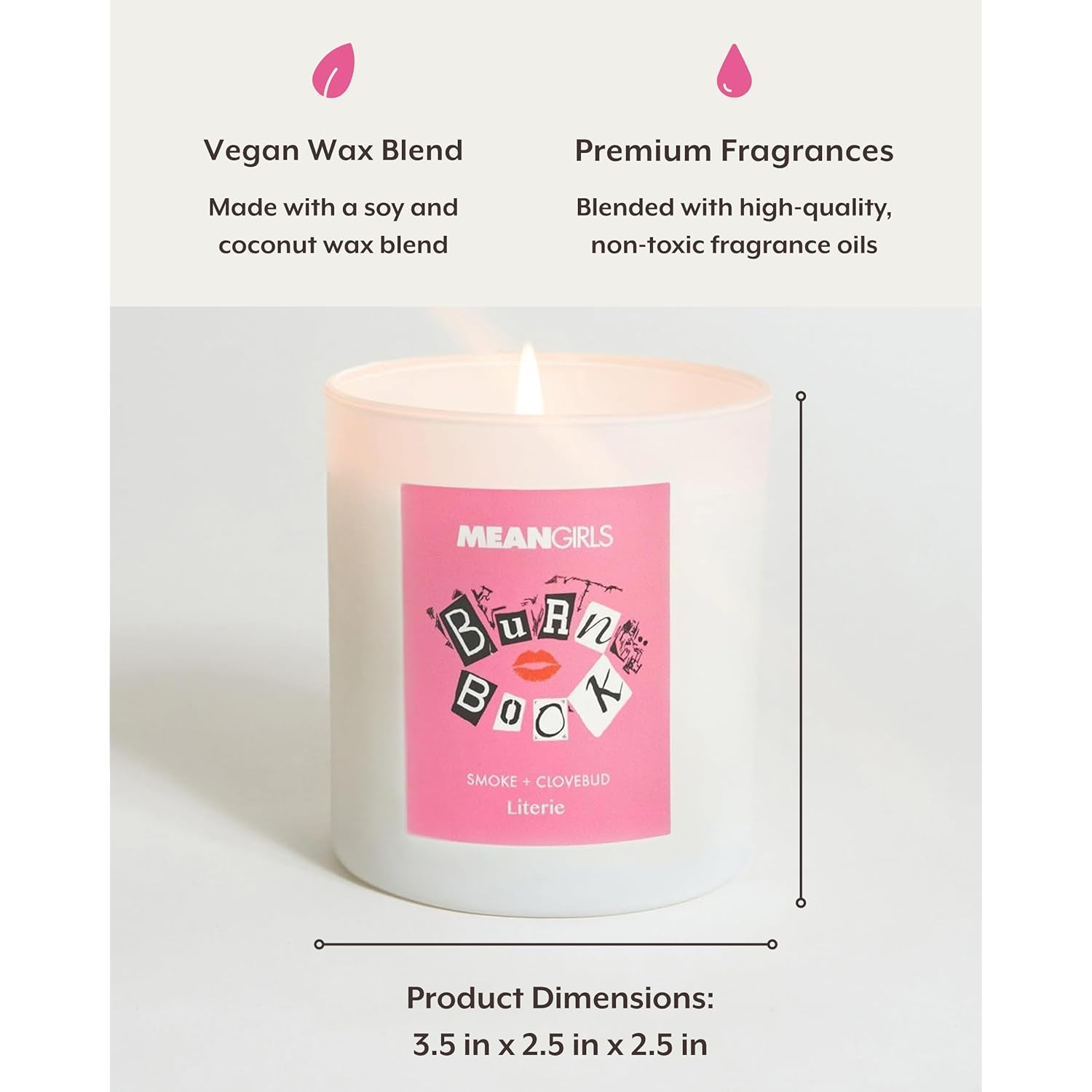 Mean Girls Inspired Scented Candle: Burn Book - Smoke + Clovebud Scented, 9Oz, 50 Hour Burn, Vegan Soy & Coconut Blend Candle For Home Decor, Gift For Women & Men