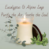 2Pcs Eucalyptus & Alpine Sage Scented Candles, 7.05Oz 50 Hours Burn, Candles For Home Scented, Natural Soy Candle Non Toxic, Eucalyptus Decorative Candle For Home Decor, Gifts