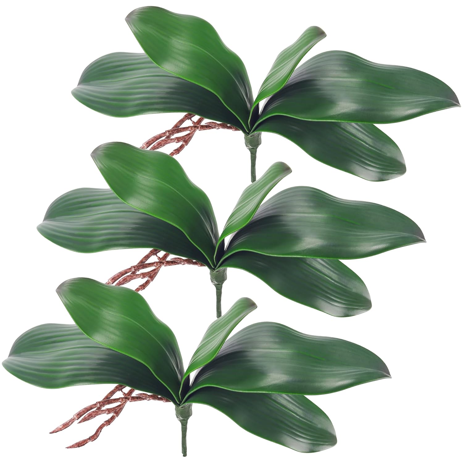 Phalaenopsis Orchid Leaves Fake Leaves Real Latex Touch Plants Arrangement