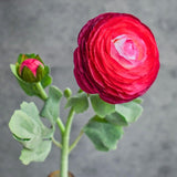 Ranunculus Artificial Flowers, 10Pcs Fake Silk Ranunculus Flowers Faux Flower Bouquet For Wedding Bouquets Centerpieces Vase Home Table Kitchen Decorations(Hot Pink)