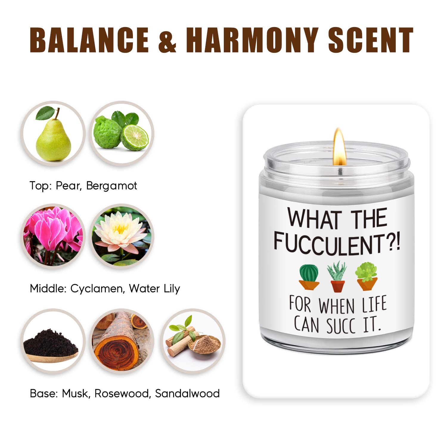 Succulent Candle, Get Well Presents For Women, Cheer Up Ideas, Pick Me Up, Break Up, Plant Lover Gifts For Women, Funny Birthday Valentines Cool Gifts For Plant Lovers Mom Lady Friend Wife Her