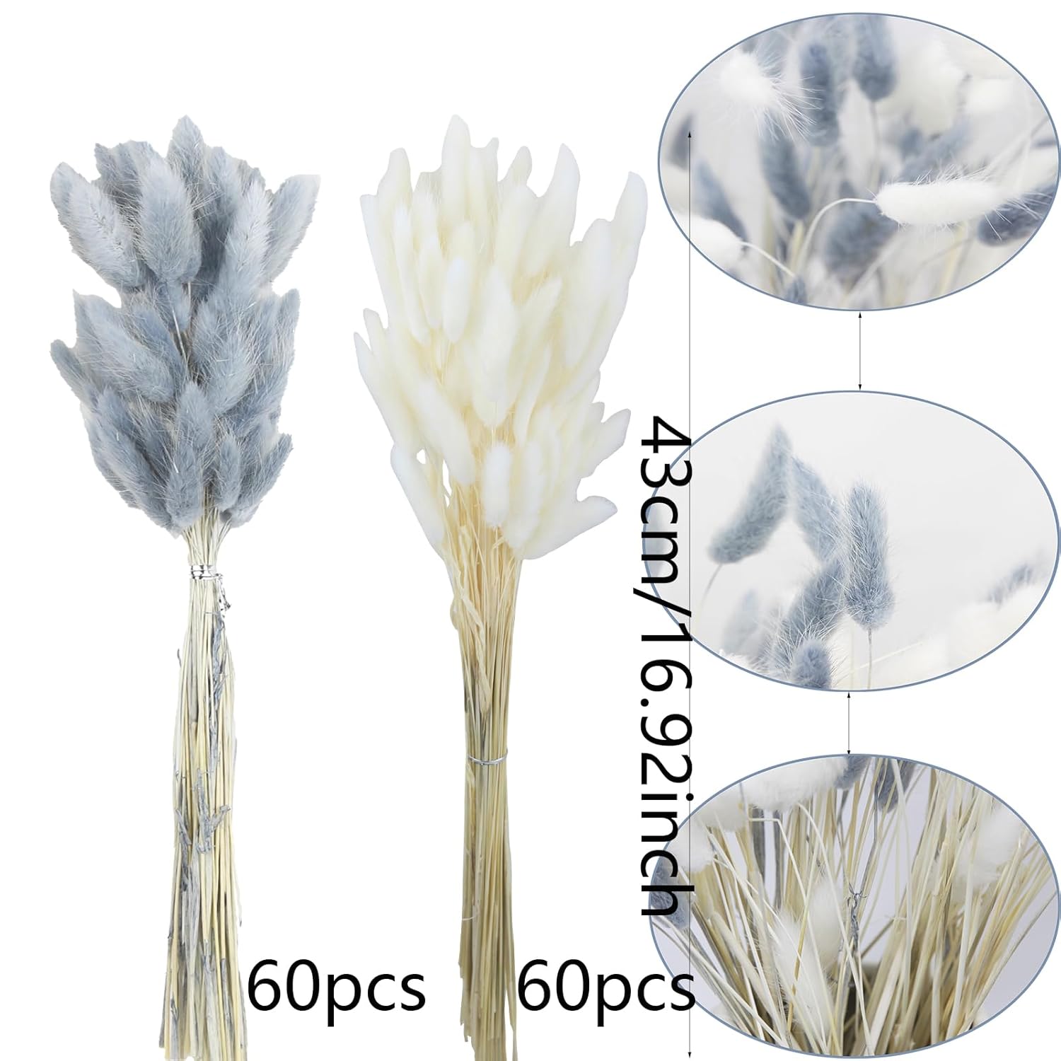 120Pcs Dried Bunny Tails Flower Lagurus Ovatus Natural Dried Flowers Rabbit Tail Grass Gray And White Dried Pampas Grass Dried Floral Arrangement For Boho Decor Wedding Home Diy Farmhouse Table