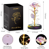 Valentines Day Flower Gifts For Her, Preserved Forever Glass Light Up Rose Gifts For Wife Girlfriend Women Mom Grandma Daughter Sister, Mothers Day Christmas Birthday Womens Gift (Colorful)