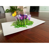 3D Pop Up Greeting Card – Purple Crocus Flowers In Bloom, Handmade Paper Art For Birthday, Mother’S Day, Spring, Thank You & Garden Lover Gift With Envelope F37