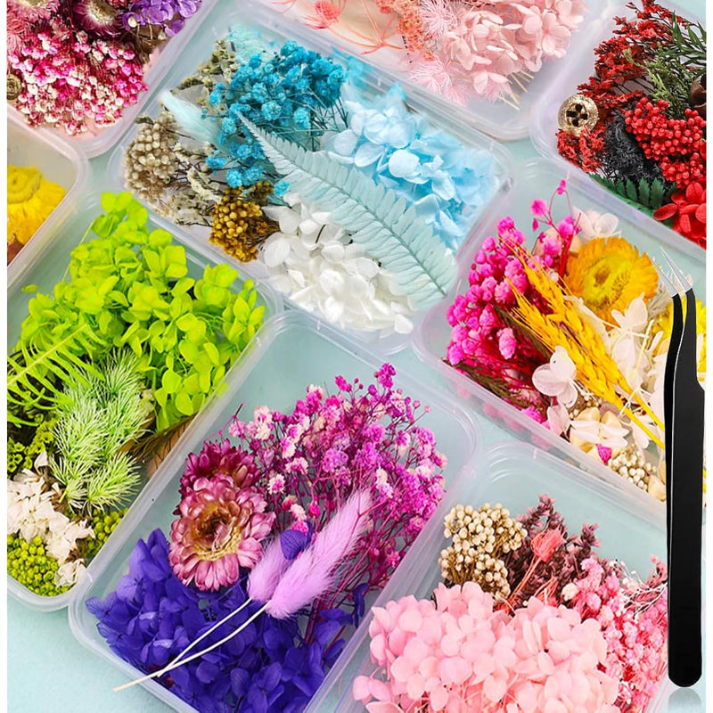 Dried Pressed Flowers Mixed Box For Resin Random, With 1 Tweezers, Real Natura