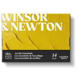 Winsor & Newton Galeria Acrylic Paint, Set of 10x12ml Tubes (includes 2 Brushes, Pad, Palette)