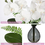 White Orchids Artificial Flowers, Faux Orchid In Glass Vase Real Touch Small Phalaenopsis Orchid Flowers Arrangements With Black Vase Orchids Centerpiece For Dining Room Table
