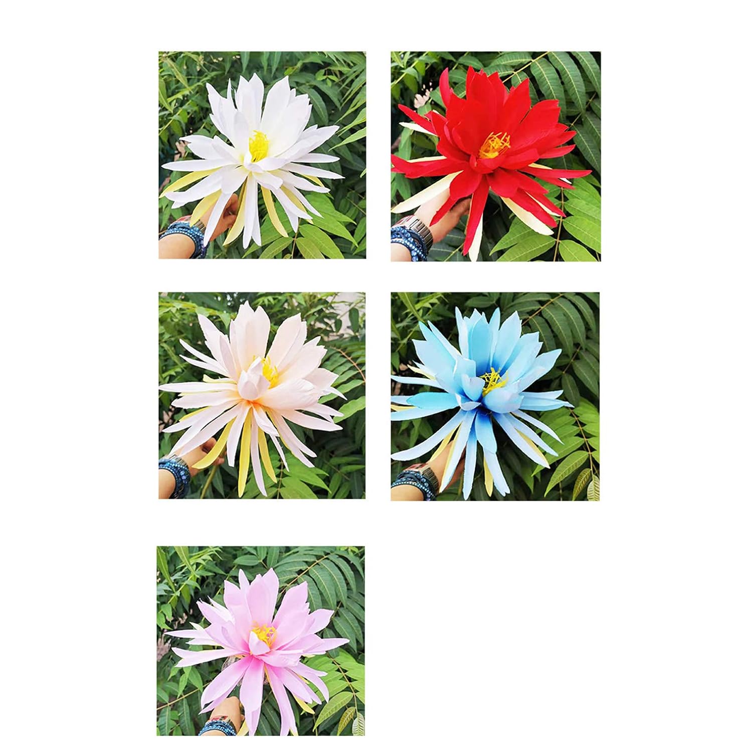3 Stems Silk Broad-Leaved Epiphyllum Night-Blooming Flowers Orchid Cactus Artificial Flowers (White)