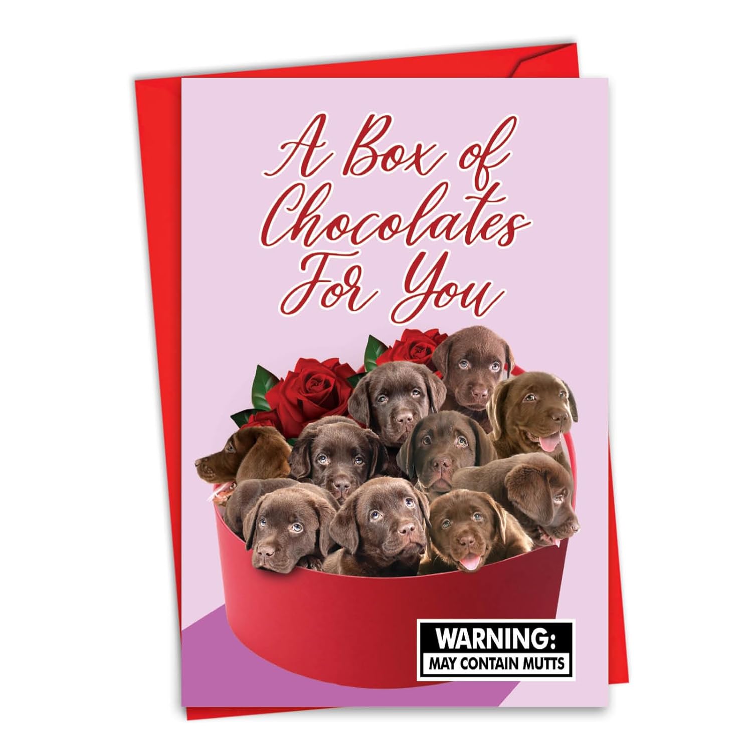 - Valentine'S Day Greeting Card With Envelope (4.63 X 6.75 Inch) - Box Of Chocolates C8855Vdg
