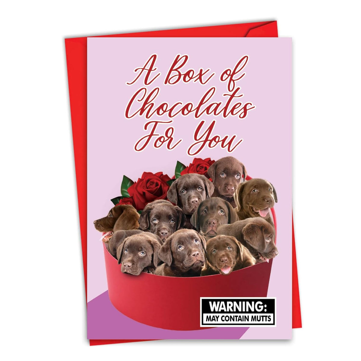 - Valentine'S Day Greeting Card With Envelope (4.63 X 6.75 Inch) - Box Of Chocolates C8855Vdg