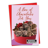 - Valentine'S Day Greeting Card With Envelope (4.63 X 6.75 Inch) - Box Of Chocolates C8855Vdg