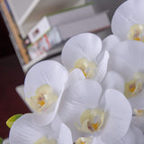 Orchid Stems Artificial Flowers Real Touch Latex Faux Phalaenopsis Branches 9 Large Blooms 38 Inches 2Pcs White