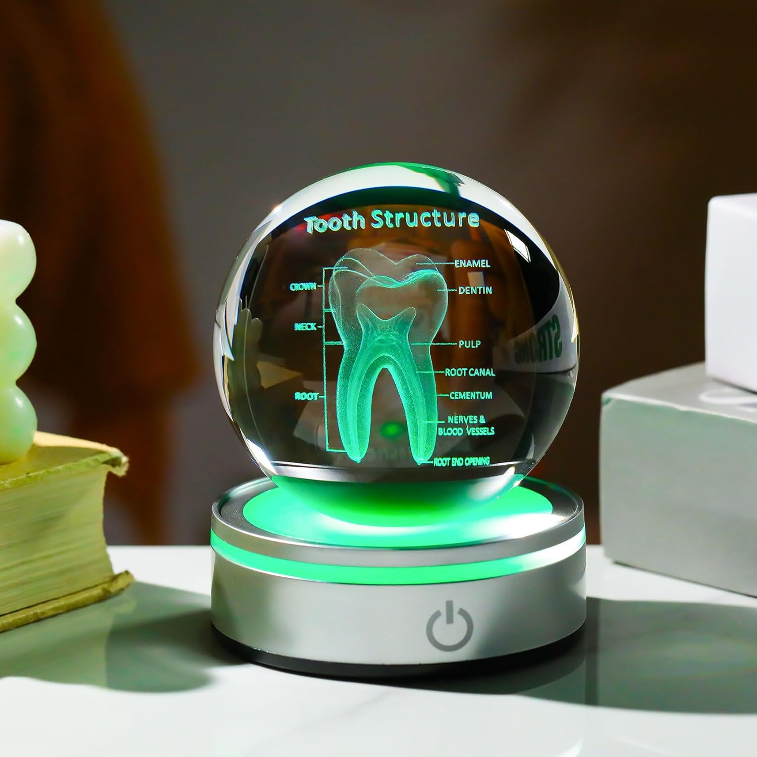 Tooth Model 3D Crystal Ball Dental Gifts For Women Men, Dentist Hygienist Present Office Decor With Led Base, Laser Etched Figurine Tooth Gift For Dental Student On Graduation Christmas
