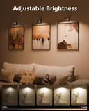 3 Pack Rechargeable Magnetic Picture Lights with Remote 3 Color Temps & RGB for Wall Art