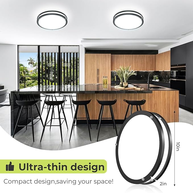 2 Pack 10 Inch LED Ceiling Lights with Remote Dimmable Black Flush Mount Fixtures