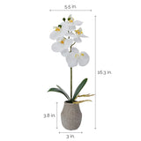 Mikasa Artificial Orchid in Pot, Real Touch Phalaenopsis Orchid, Embossed Weave Cement Pot, 16-Inch Single Branch, White/Yellow