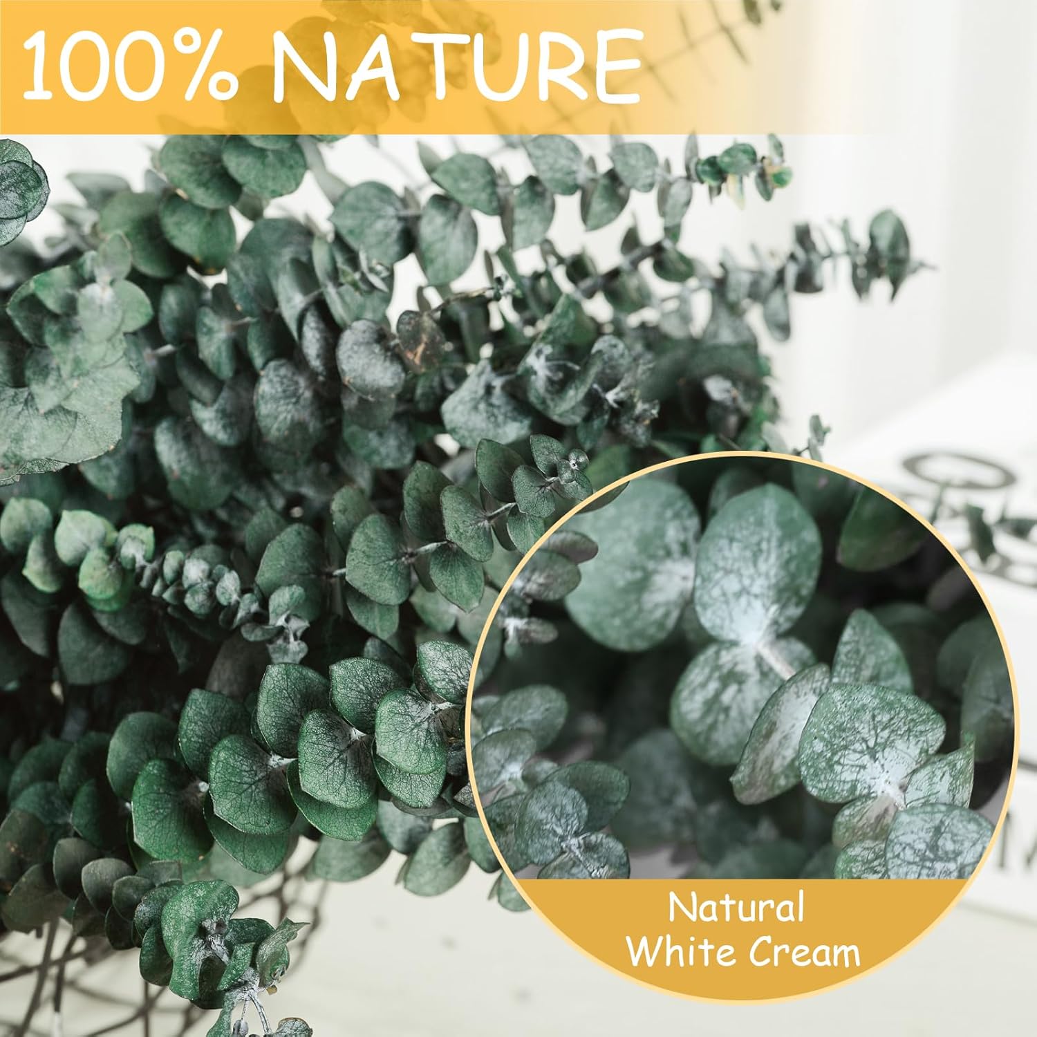 22 Pcs Dried Eucalyptus Bundle For Shower - 17" Large Preserved Eucalyptus Stems Shower Plant, Fresh Real Eucalyptus Leaves For Shower Hanging, Artificial Flowers Arrangement, Home Bathroom Decor