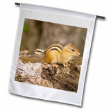 3dRose New Hampshire, Lincoln, Franconia Notch SP 12 x 18 inch Garden Flag