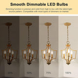 E12 Candelabra LED Bulbs 60W Equivalent B11 Dimmable 3000K Soft White Chandelier Bulbs 6 Pack
