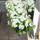 4 Pcs Artificial Flowers Outdoor Impatiens Uv Resistant Silk Impatiens Flowers White Faux Flowers Impatiens Bushes Artificial Impatiens For Pot Patio Lawn Garden Hanging Basket Porch Decor
