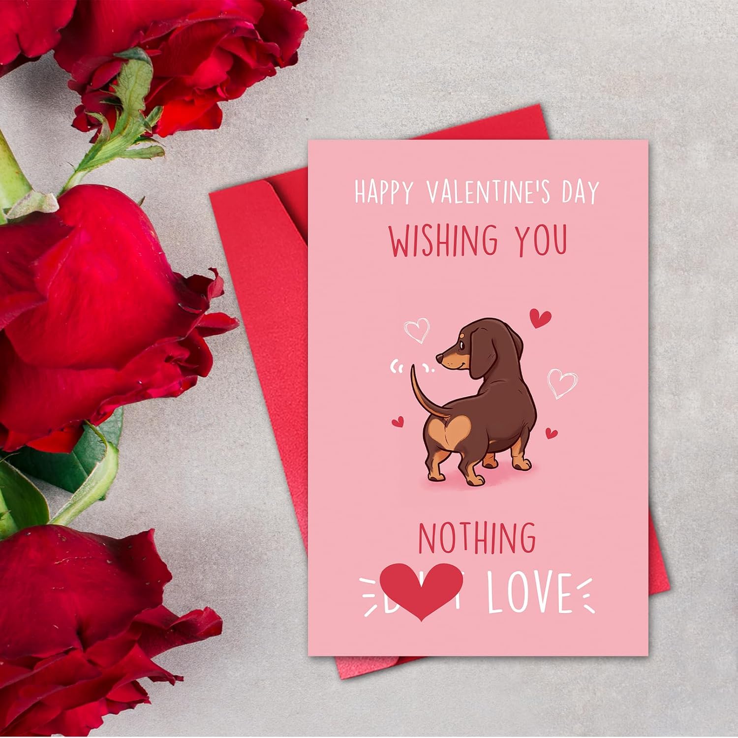 Dog Valentines Day Card Funny, Wishing You Nothing Butt Love Card, Happy Valentine’S Day Gift From Dog